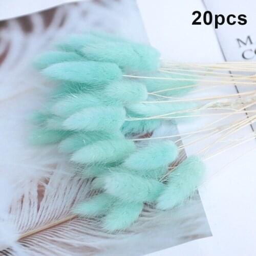 20Pcs Rabbit Tail Grass Natural Dried Flowers For Home Decoration Flower Arrangement Long Bunches Bouquet Props M56