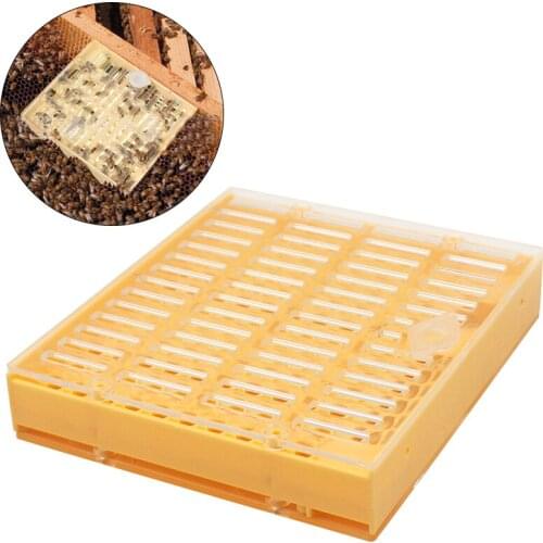 1Pcs Beekeeping Tools Nicot Queen Bee Rearing System for Beekeeping Plastic Nicot Cage Tools Apiculture Equipments Beekeeping
