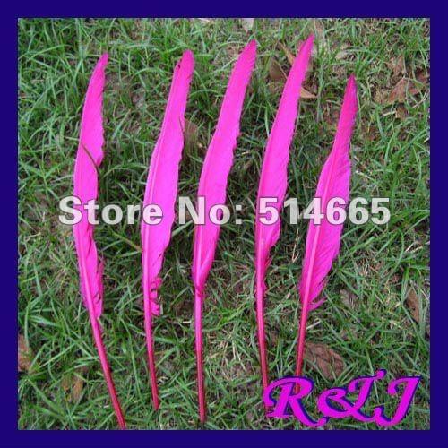 Wholesale geese feather 200pcs/lot fushia dyed goose Feather For Party Performance Approx 20-25cm or 8-10inch