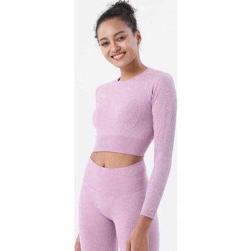 Sexy Women Knit Seamless Fitness Tight Quick Dry Long Sleeve T-shirt Sport Shirt Crop Top Yoga Workout Running Wear