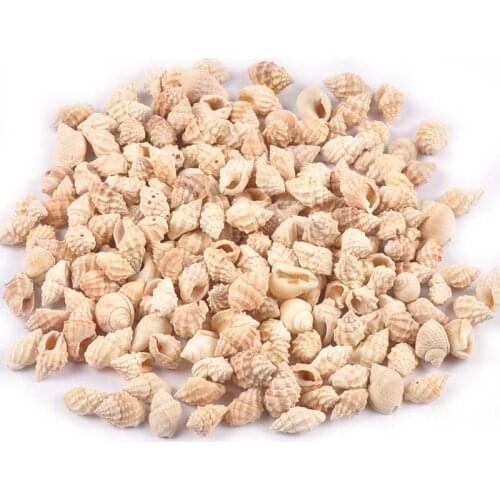 100pcs Mix 11-15mm Spiral Seashell For Beach Decor Craft DIY Handmade Glass Bottle Fish Tank Landscape Home Decor Accessories