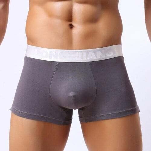 LJ Mens Underwear Modal Boxers Shorts Sexy Men Comfy Sleepwear Gay Penis Pouch Low Waist Underpants Cuecas Dropshipping