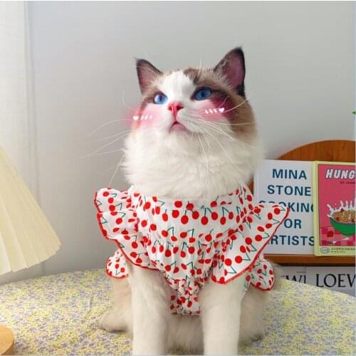 Cat clothes small dogs dog satchel vest skirt dress dresses for cats