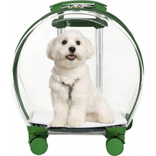Cat bag new transparent bubble trolley bag puppy out transport box cat stroller pet trolley box