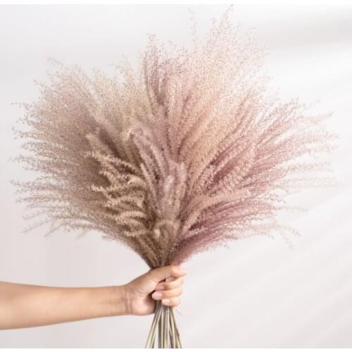 15Pcs Decoration Pampas Grass Large Real Dried Reed Flower Bouquet Home plants Decoration Table Flores Preservadas Natura