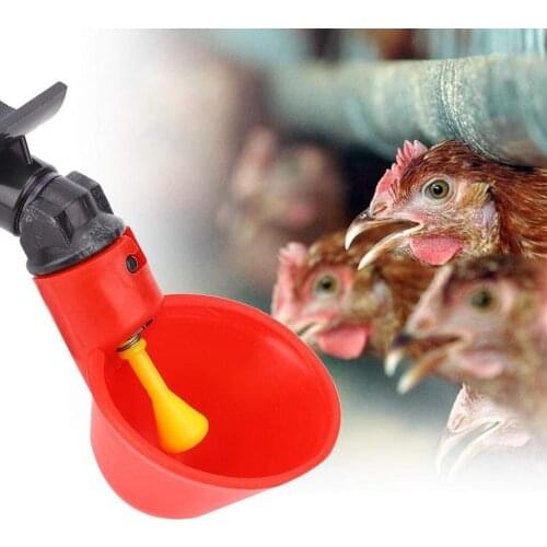 5PCS Poultry Chicken Drinking Water Cups Automatic Duck Hen Waterer Plastic Drinker Home Bird Chicken Water Feeding Supplies