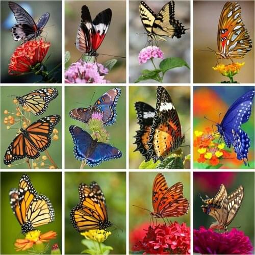 Huacan Diamond Art Painting Mosaic Butterfly Animal Full Square/round Diamond Embroidery Cross Stitch Flower Sticker Decor