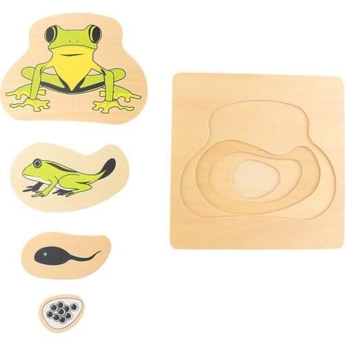 Montessori Teaching Aids Toddler Life Cycle of Animals Plant Frog 3D Puzzles Multi-layer Grow Up Jigsaw Preschool Kids Baby Toys