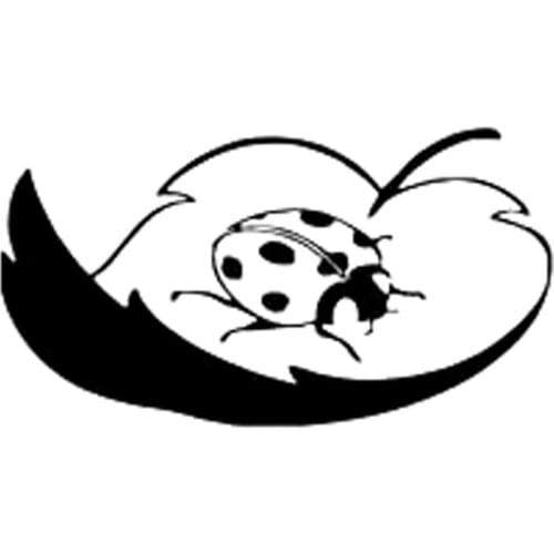 Ladybug on Leaf High Quality Fashion Car Decoration Personality Pvc Waterproof Car Window Applique Black/white, 15cm * 8cm