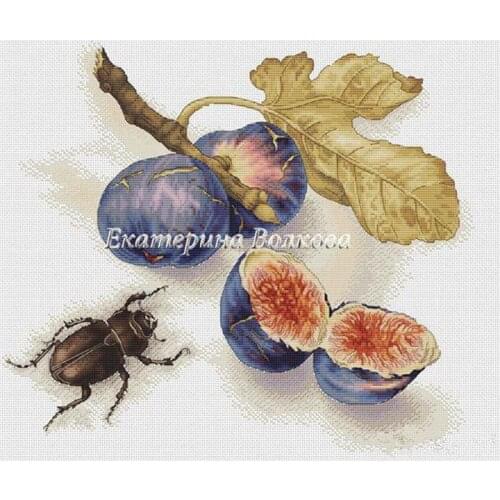 Gold Collection Counted Cross Stitch Kit Fig and Longicorn Beetle Fruit and Insect