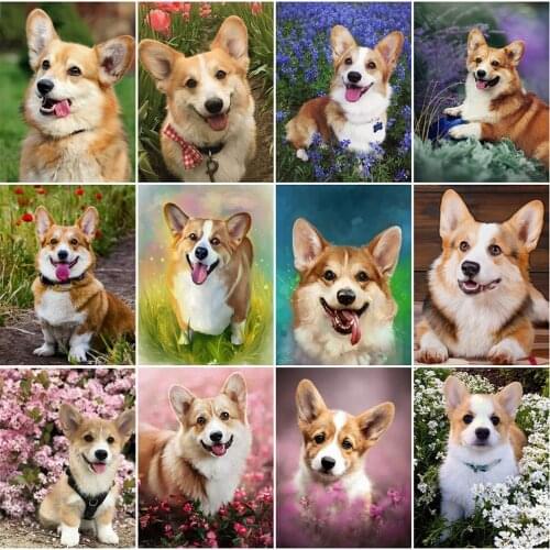 EverShine Diamond Mosaic Dog Picture Of Rhinestones Diamond Painting Corgi Cross Stitch Embroidery Animal New Arrival Home Decor