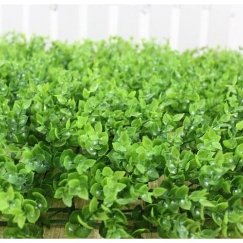 Bubble Wish Products For The Garden And Vegetable Garden