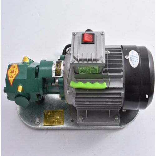 WCB-75 Self-Priming Gear Oil Pump Portable Cast Iron High Temperature Electric Gear Pump 750W Small High Viscosity Oil Pump 220V