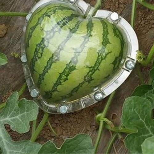 Heart Shape Watermelon Mold Cover Magical Heart Fruit Shaping Forming Mold Special planting Water melon Mould