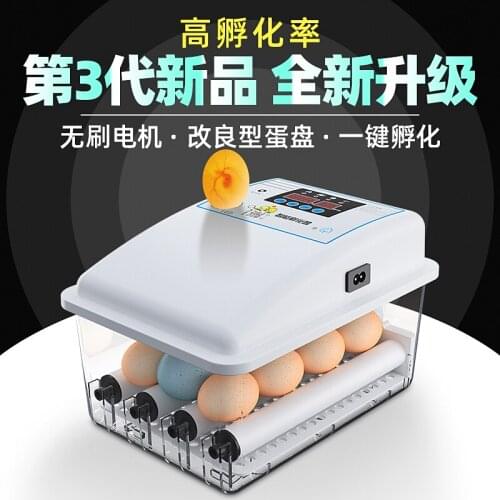 Incubator Full Automatic Intelligent Small Domestic Water Bed Incubator