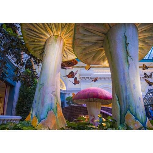 VinylBDS Photo Studio Props Baby Colorful Giant Mushroom Butterfly Scenic Photography Backdrops For Children