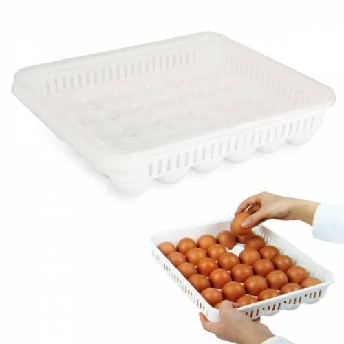 Dadya Home Egg Devices