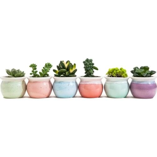 3 Inch Container Bonsai Planters Ceramic Set Six Color Succulent Planter Pot Cactus Plant Pot Flower Pot Window Box with Hole