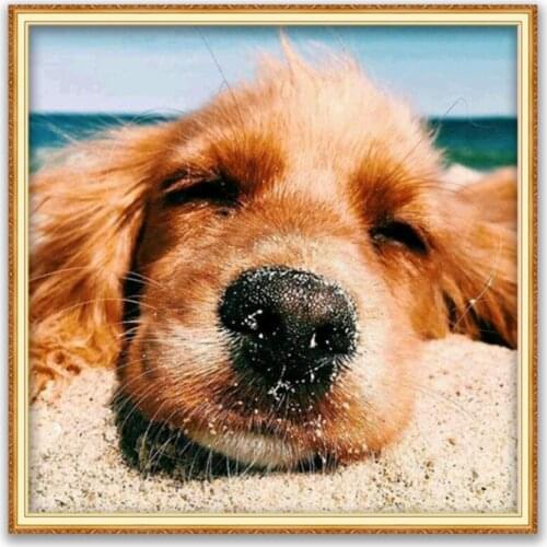 Animal Golden Retriever DIY 11CT Cross Stitch Embroidery Kits Craft Needlework Set Printed Canvas Cotton Thread Home Decoration