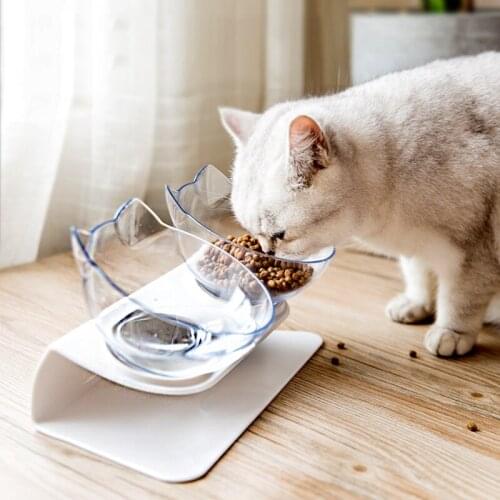 Mrs win Bowls For Cats