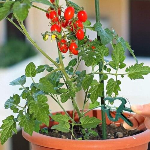 Plant Supports Tomato Cages Assembled Garden Plant Stakes for Vertical Climbing Plant Stakes and Support 75 Pcs