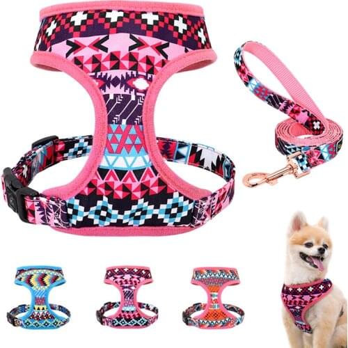 Bohemian Pet Harness and Leash Set Novel Puppy Cat Dog Harnesses for Small Medium Dogs Shih Tzu Yorkshire accesorios para perros