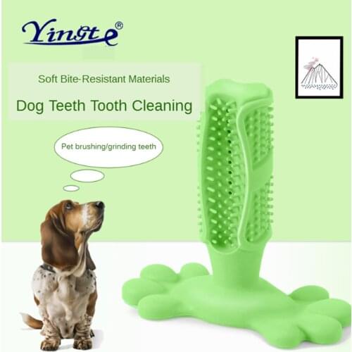 Pet toys dog toothbrush dog toothbrush pet supplies bite toy