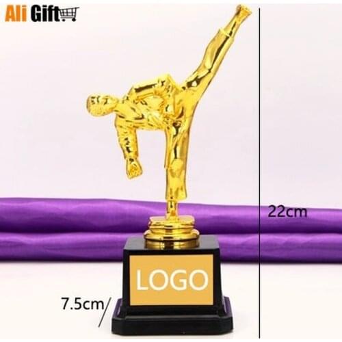 Hot Sale Sports Taekwondo Athletic Prize Award Trophy Cups Golden Metal Cup Trophy Taekwondo Trophies Award Medals 22cm Height