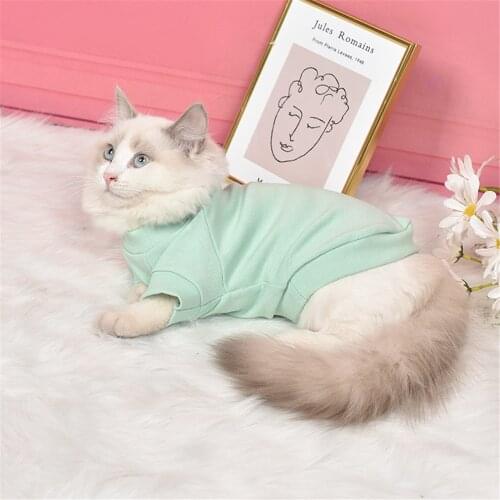 LeChong Pet Cat Clothes Simple Pure Cotton Warm Cat Shirt Soft Solid Color Cat Vest Suitable For Kitten Jacket Pet Supplies