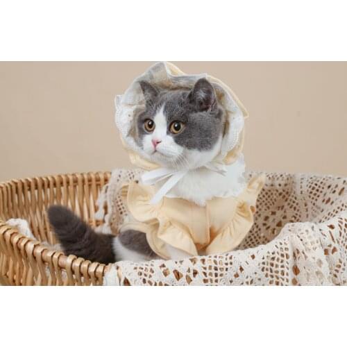 Cute Hoodies For Small Pet Cat Dog Clothes Yellow Hat With Coat For Puppy Chihuahua Akita Schnauzer Summer Clothing For Pets