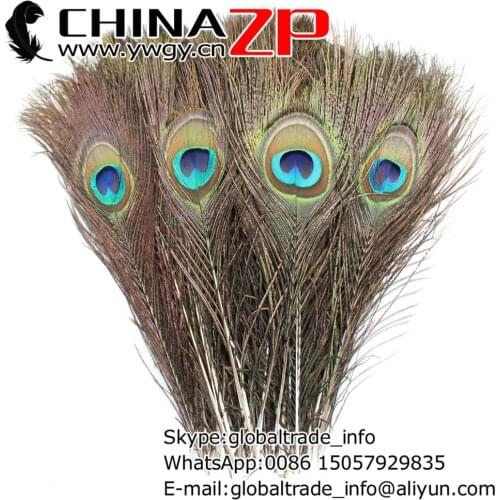 Manufacturer in CHINAZP Factory 50pcs/lot 25~30cm Length Beautiful Natural Full Eye Peacock Tail Feathers for DIY Decorations