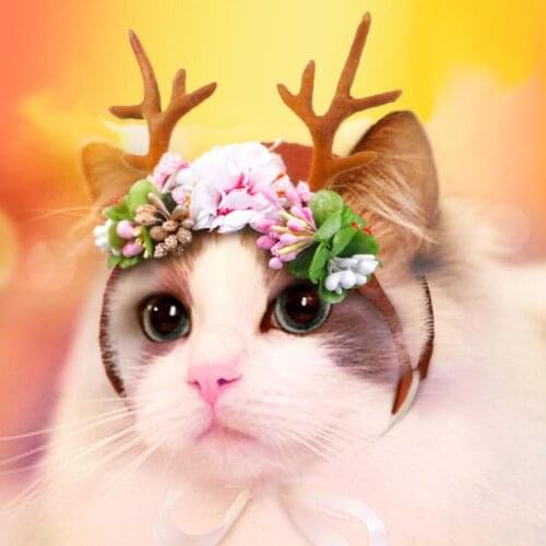 Pet Headwear Christmas Party Festival Cat Kitten Head Bulk With Flowers S/M