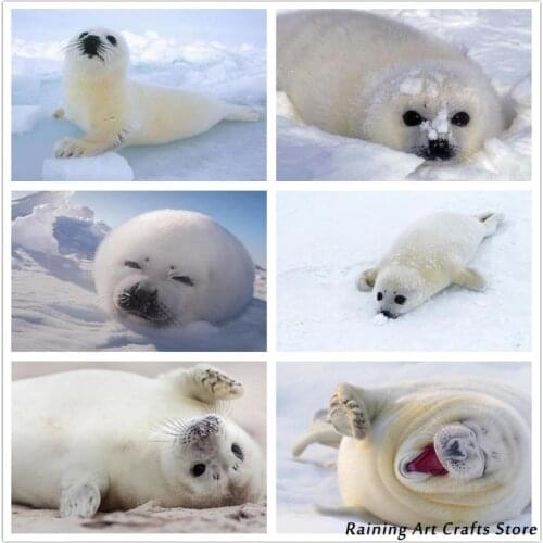 5D Diy Diamond Painting Sea Lion Seal Animal Full Round Square Drill Embroidery Diy Cross Stitch Kits Mosaic Pictures Home Decor