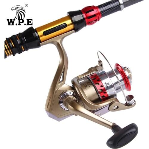 W.P.E Spinning Fishing Wheel DFB 2000/3000/4000/5000/6000 Series 5.1:1 High Speed 6 Ball Bearing System Carp Fishing Reel