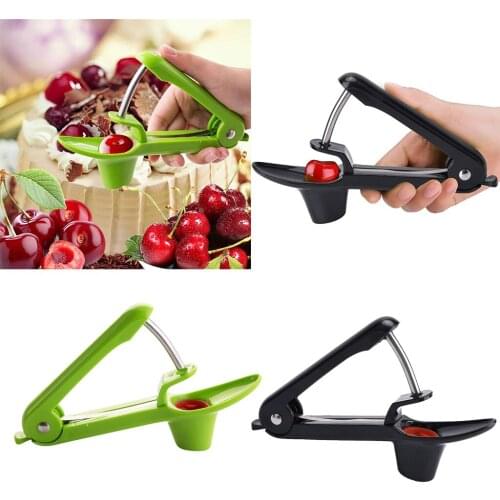 2 Colors Stainless Steel ABS Cherry/Olive Pitter 20.5x8x3.8cm