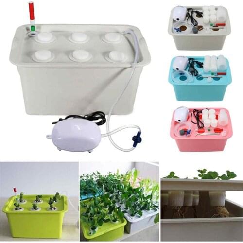 6-Hole Aerobic Type Soilless Cultivation Planting Box Hydroponic Plant Box For Indoor Cultivate Vegetable