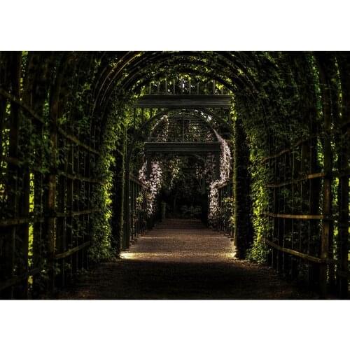 Dark Green Scenic Long Corridor Vinyl Cloth Photography Backgrounds Portrait Photographic Backdrops Photo Studio Photobooth