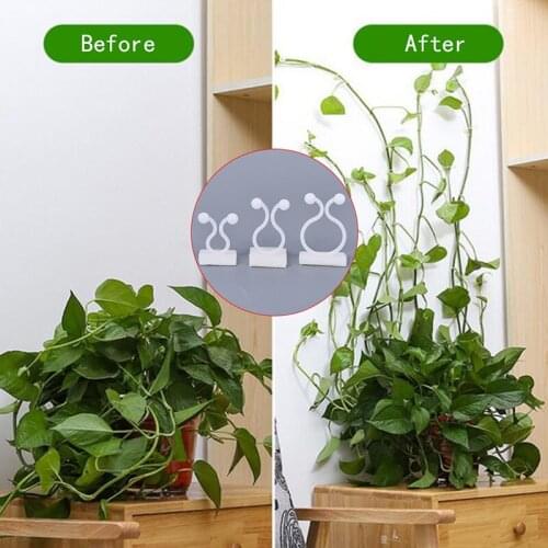 20 Pcs Invisible Wall Rattan Clamp Clip Invisible Wall Vine Climbing Sticky Hook Rattan Fixed Clip Bracket Plant Stent Supports