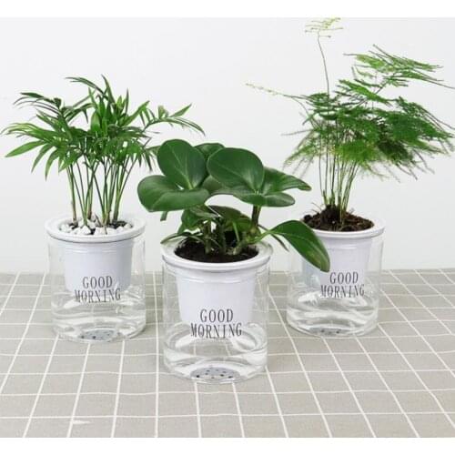 Round Automatic Water Absorption Self-watering Flowerpot Hydroponic Flower Pot