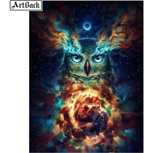 New 5d diamond painting owl star sky full square drill diamond mosaic 3d full round diamond embroidery sticker animal 40x50cm