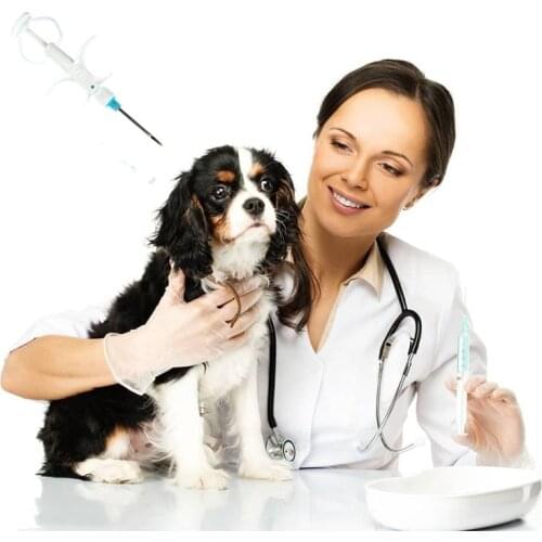 New Type Microchip Syringe 1.4x8mm/2.12x12mm FDX-B Implantable Animal ID Microchip Injector