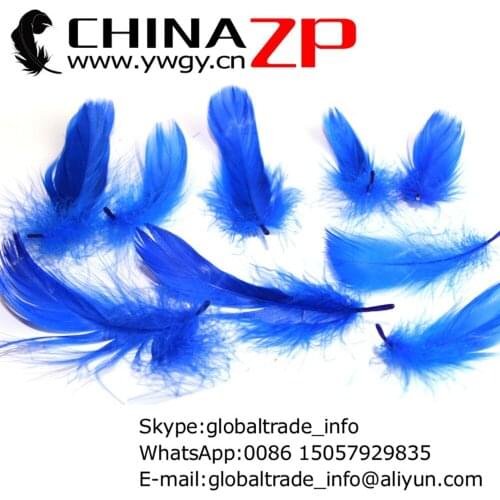 CHINAZP Factory Wholesale Price for 500pcs/lot Beautiful Decorations Dyed Royal Blue Goose Nagoire Loose Feathers