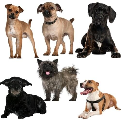 Three Ratels QC388 HD pixel dog sticker Waterproof Vinyl auto Wrap for car hood laptop home decora decals