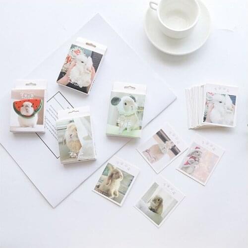 30 Sheets/Set Lovely Bunny Rabbit Postcard/Greeting Card/Message Card/Birthday Letter Envelope Gift Card