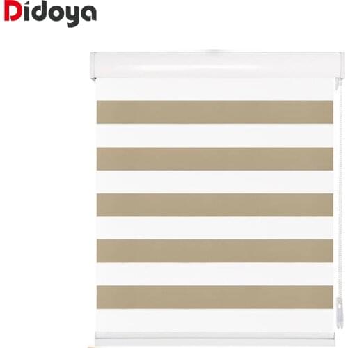 Transparent Zebra Blind Light Shading Window Day Night Roller Blinds For Living Room Bedroom Study Custom Size