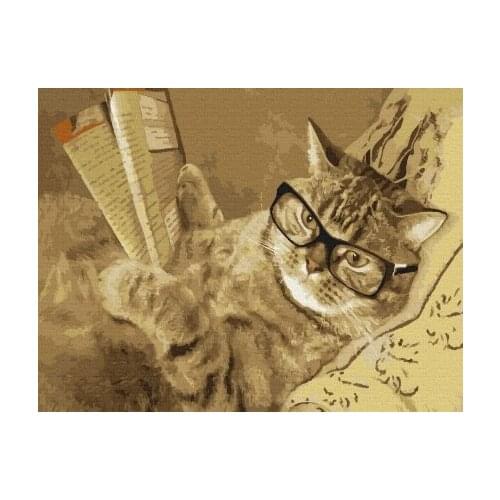 MOLLY Pictures Of Cats By Numbers