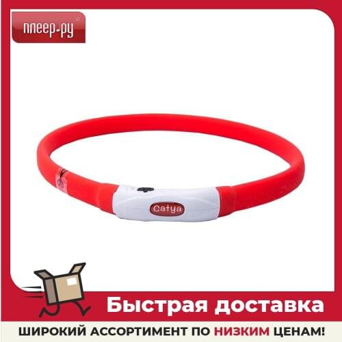 Первый питомец ZDK China At AliExpress