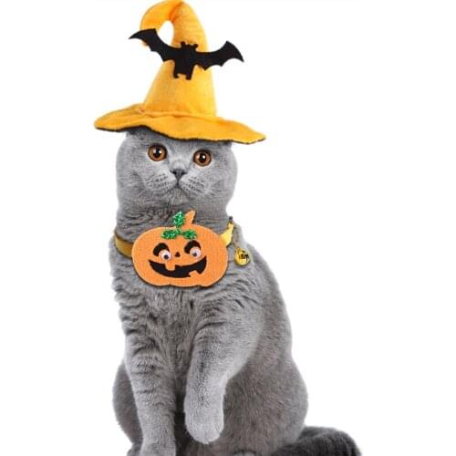 Cat Halloween Costume Adjustable Pet Witch Bat Hat Pumpkin Collar For Halloween Party Funny Kitten Cosplay Clothes Pet Supplies