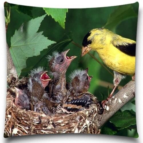 Mother feeding the newborn bird 2D print creative Pillow case Square cotton polyester cushion cover 5 size 9 style