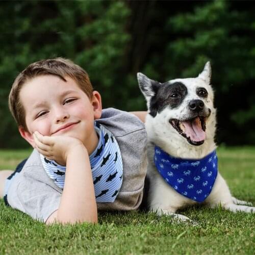 Dog Bandana 4pcs Cotton Dogs Bib Bandage Scarf Pet Grooming Dog Accessories Fashion Collar for Medium Large Pet Color Blue